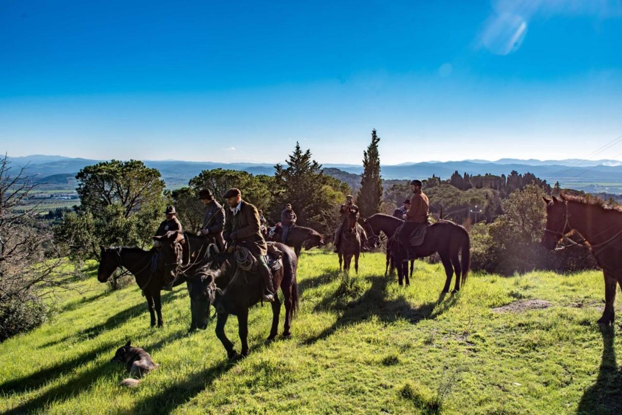 Castell'Anselmo Essenziale Bed & Breakfast エクステリア 写真
